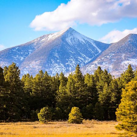 깃대 Mt. Elden Adventure 빌라 외부 사진