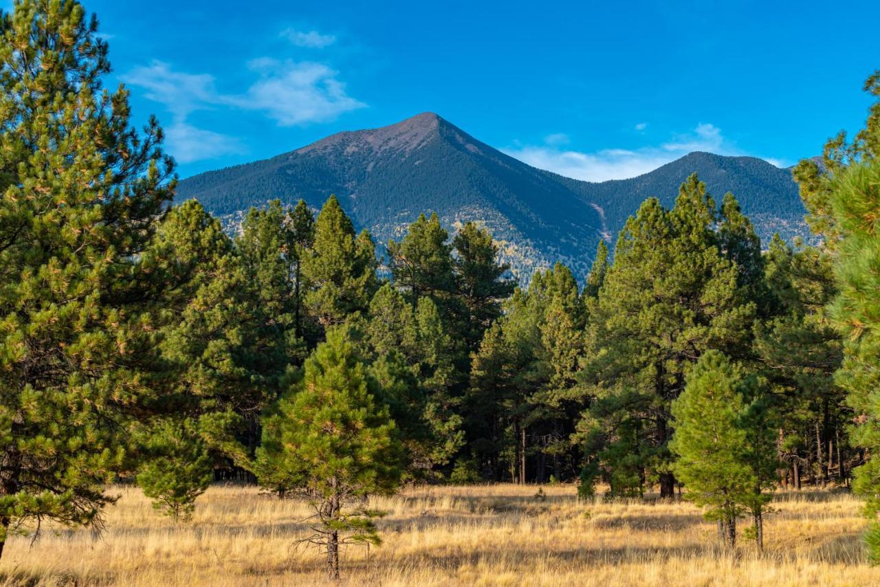 깃대 Mt. Elden Adventure 빌라 외부 사진