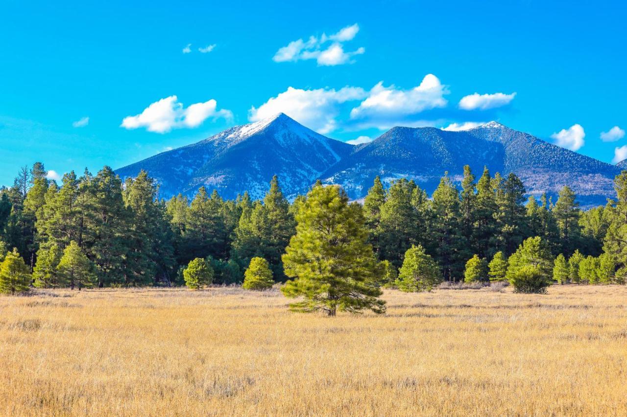 깃대 Mt. Elden Adventure 빌라 외부 사진